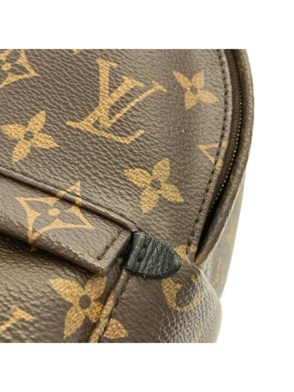 Louis Vuitton Monogram Palm Spring Backpack Mini - Picture 4 of 9